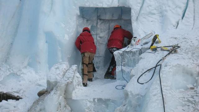 New Scientist | Microbul ciudat din Antarctica care poate rezolva unul dintre cele mai vechi mistere ale lumii