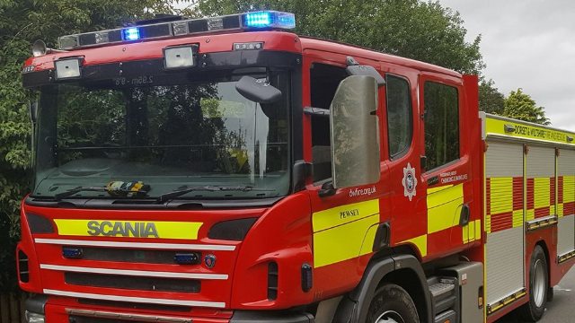 Pompieri britanici, care au salvat dintr-un incendiu 18 purcei, i-au primit în dar... sub formă cârnați