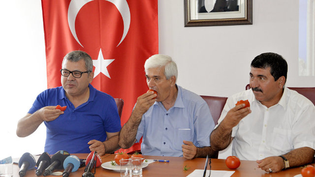 Embargoul rusesc i-a determinat pe fermierii turci din Antalya să-și mănânce roșiile, în semn de protest