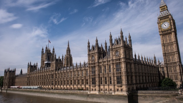 Șoarecii din Parlamentul britanic provoacă pagube de peste 170.000 de dolari pe an