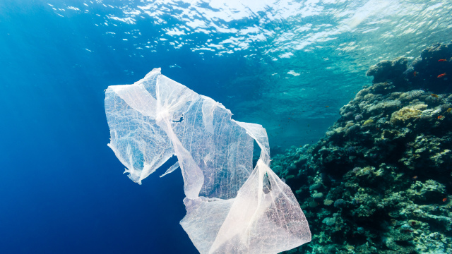 Oceanele vor conține mai mult plastic decât pești