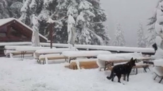 VIDEO | Zăpadă de peste 10 centimetri în România