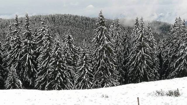 România | Strat de zăpadă de 82 de centimetri la Vârful Omu
