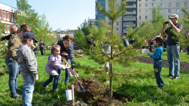 28 octombrie 2017 – Ziua Națională de Înverzire a Plaiului