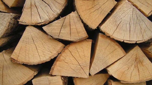 Agenția Moldsilva anunță prețul la lemnul de foc 