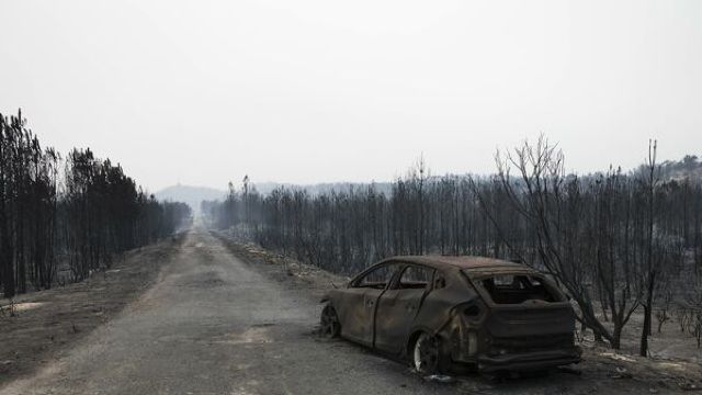 Incendii în Portugalia | Bilanțul a crescut la 42 de morți
