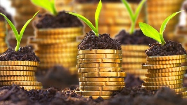 În R.Moldova va fi creat un Fond de garantare a Creditelor Agricole