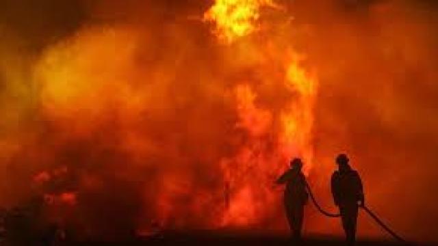RECORD ISTORIC | În Portugalia 442.000 de hectare au fost distruse de incendii