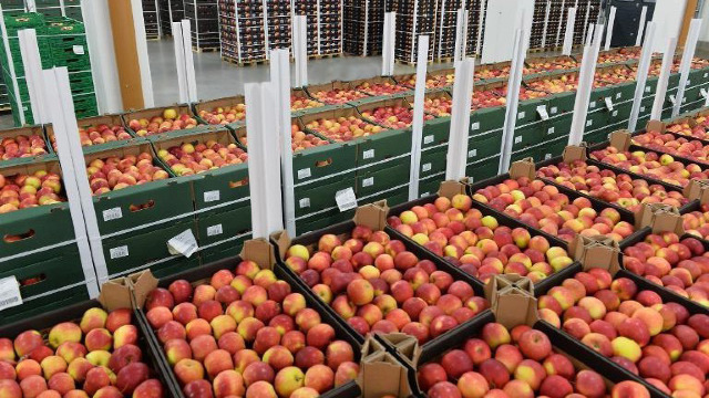 Ministerul Agriculturii |  Capacitatea de depozitare a fructelor și legumelor este insuficientă