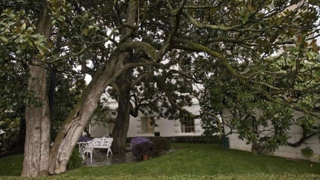 Melania Trump a cerut să fie tăiată o magnolie de peste 200 de ani din curtea Casei Albe