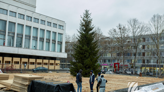 FOTO | Pomul de Crăciun al Guvernului de pe 31 August a fost instalat