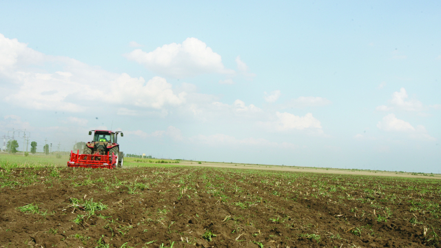 Termenul de dare în arendă a terenurilor agricole, extins cu doi ani 