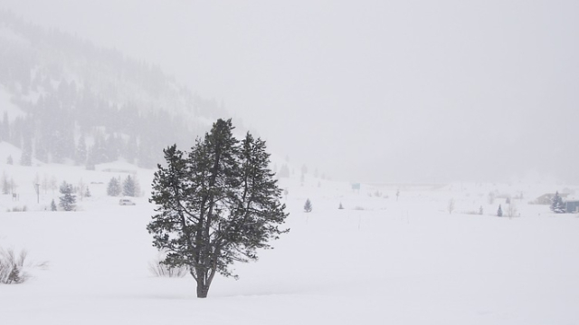România | Meteorologii anunță un nou episod de vreme rea