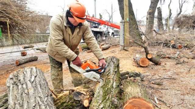 Trafic suspendat, sâmbătă, pe strada 31 august din Chișinău Trafic suspendat, sâmbătă, pe strada 31 august din Chișinău