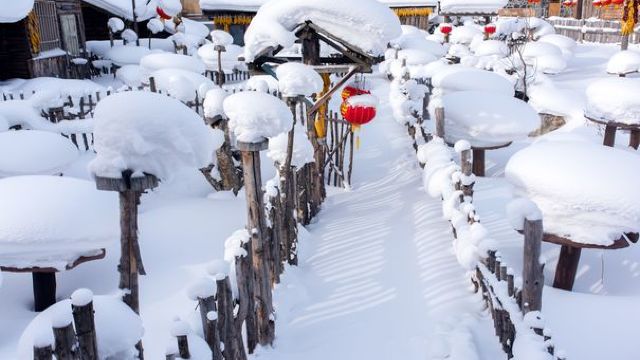 Cea mai abundentă ninsoare din ultimele 4 decenii în centrul Japoniei: sute de autovehicule blocate în zăpadă