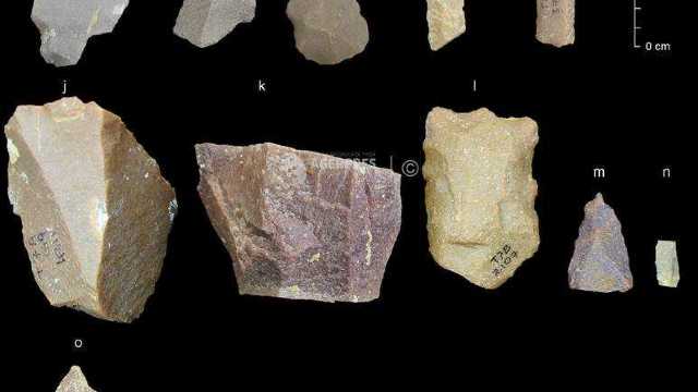 Mai multe unelte străvechi descoperite în India ar rescrie istoria migrației Homo sapiens în afara Africii