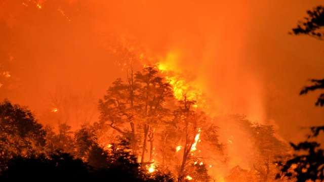 Chile | Un incendiu de vegetație a mistuit circa 1.800 de hectare
