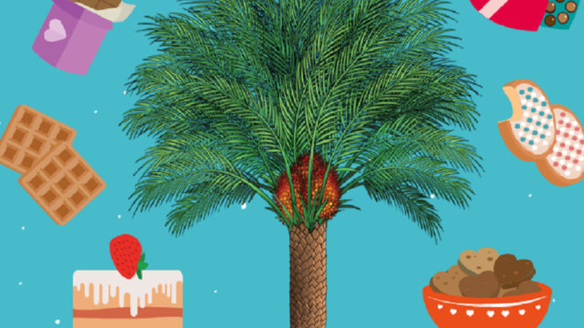 Zdg | Uleiul de palmier – „camuflat” în produsele de panificație și de patiserie
