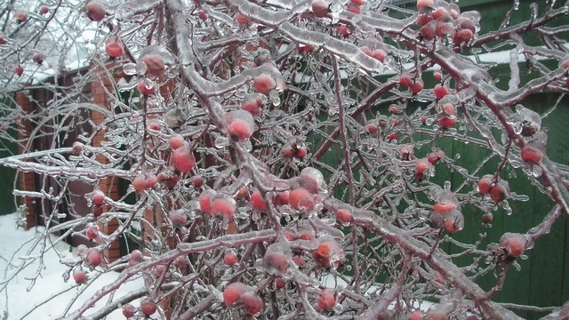 METEO | De la +18C, în weekend, la -13C, saptămâna viitoare