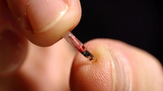 Ce se va întâmpla cu compania care le-a implantat microcipuri angajaților