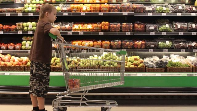 Rusia importă cantități uriașe de echipamente și tehnologii din UE pentru a se asigura cu fructe și produse agricole
