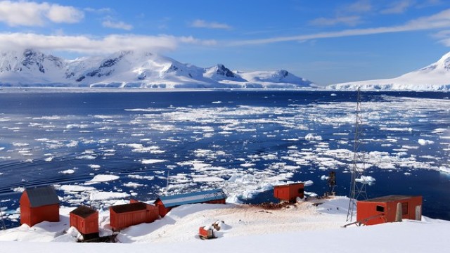 Legume proaspete recoltate de un cercetător german în Antarctica