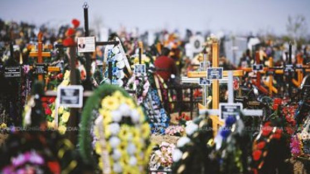 Florile și decorațiunile din plastic pentru morminte poluează solul și aerul