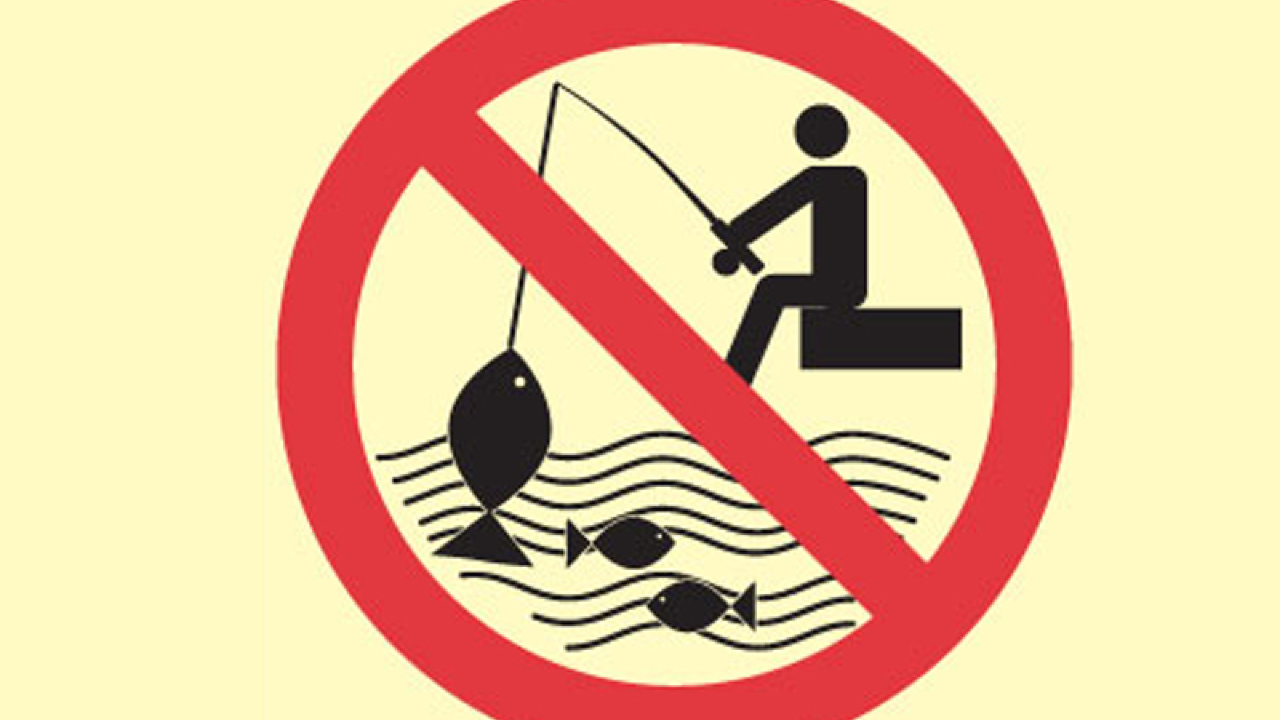 Запрещающие знаки на водоемах