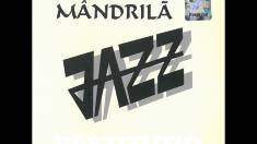 Colecția de Jazz | Dan Mandrilă și Alexandru Imre
