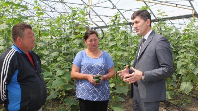 Legumele cultivate de agricultorii moldoveni, verificate dacă au pesticide sau nitrați