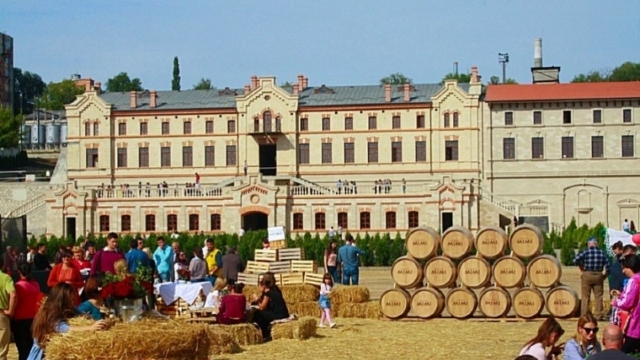 Companie vinicolă din R.Moldova va găzdui un muzeul al patrimoniului național