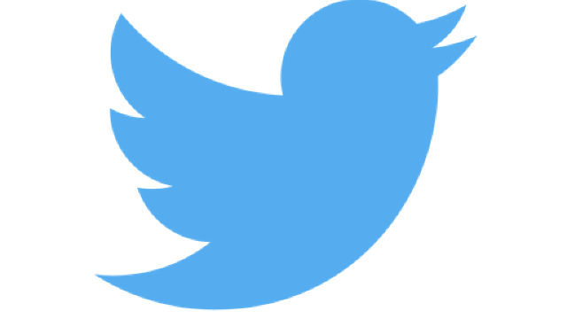 Rețeaua de socializare Twitter a recomandat tuturor utilizatorilor săi să-și schimbarea parola