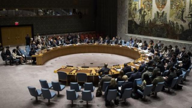 Sesiune extraordinară a Consiliului ONU în legătură cu trimiterea de anchetatori internaționali în Gaza