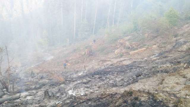 România | Pompierii intervin de peste 24 de ore pentru stingerea unui incendiu izbucnit lângă o pădure
