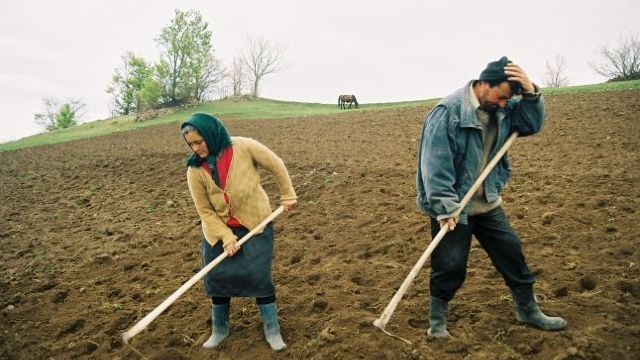 Compensații de 16 milioane de lei pentru agricultorii care nu au acces la terenurile situate după traseul Râbnița – Tiraspol