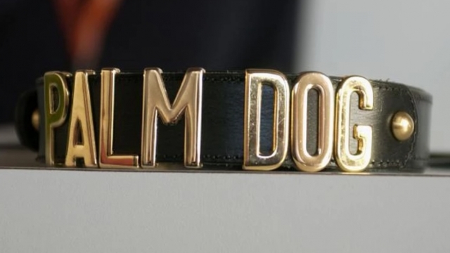 CANNES 2018 | Distribuția canină a filmului ''Dogman'', recompensată cu premiul Palm Dog (VIDEO)