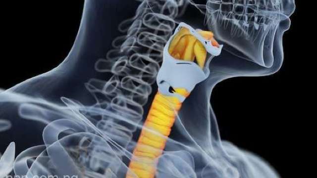 Medicii chirurgi din Franța au reușit să construiască trahee din artere (VIDEO)