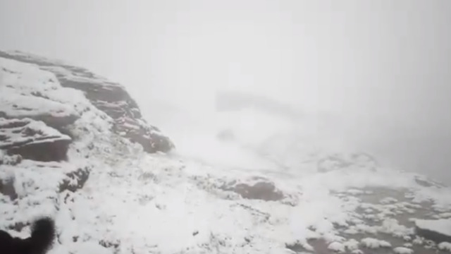 VIDEO | NINSOARE în iunie la munte, în România. În Făgăraș stratul de zăpadă a ajuns la 4 centimetri