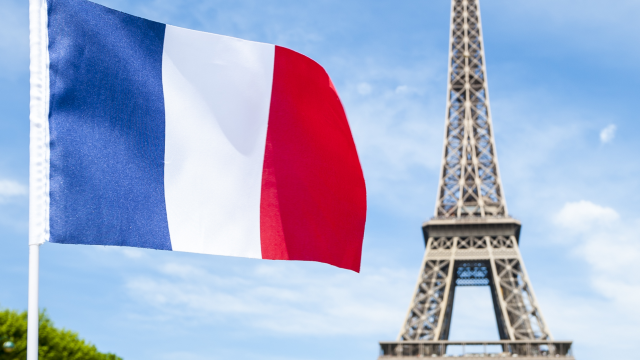 Măcelarii francezi îi acuza pe vegani de 