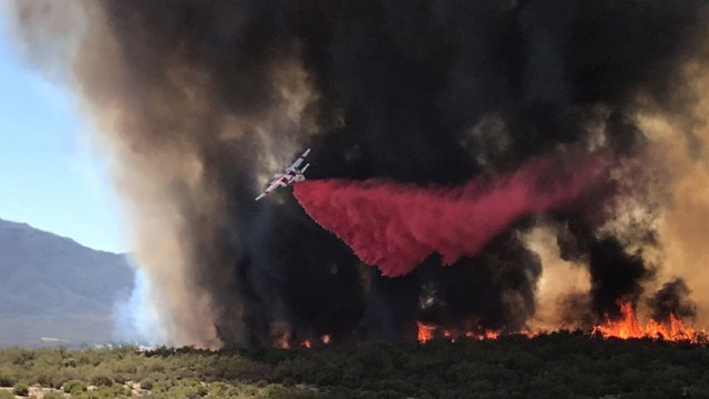 FOTO/VIDEO | 34.800 de hectare de vegetație, mistuite de foc în California
