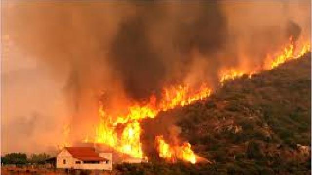 Ajutoare europene pentru Grecia, grav afectată de incendii de pădure