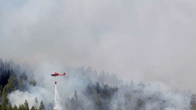 Suedia | Incendiile de pădure au scos din locuințe sute de oameni. Focul se îndreaptă spre Cercul Arctic