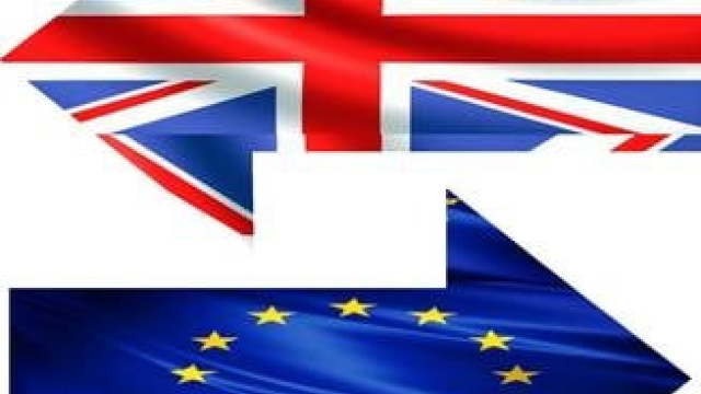 Marea Britanie | Conservatorii eurosceptici nu au reușit să ajungă la un plan B privind Brexit-ul 