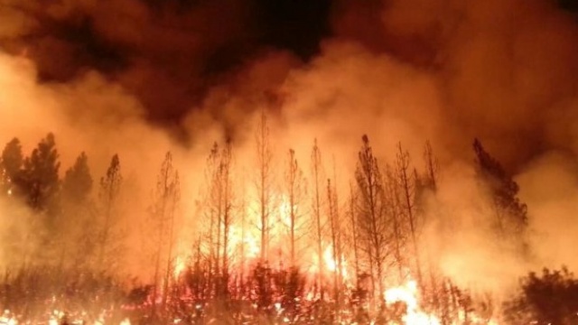 Bilanțul victimelor incendiilor de vegetație din California. Este cel mai mare din ultima perioadă