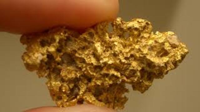 Un bărbat a descoperit o mină de aur în grădină
