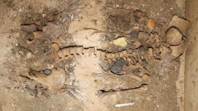 Un mormânt aproape intact vechi de 1.800 de ani a fost descoperit în Grecia
