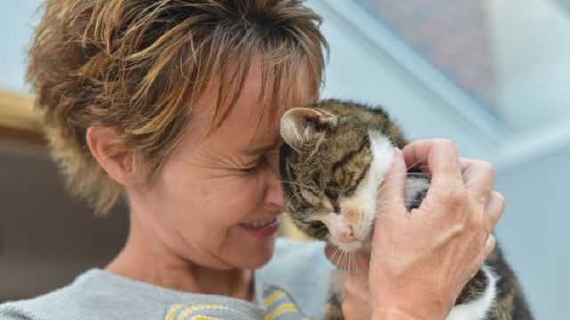 O pisică s-a întors acasă după ce a lipsit 13 ani