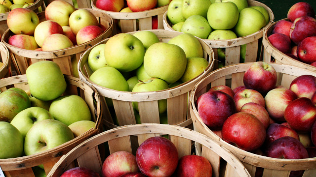 Producătorii de mere din Republica Moldova sunt interesați de exportul în India