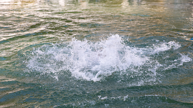Două minore s-au înecat în râul Lopatnic 