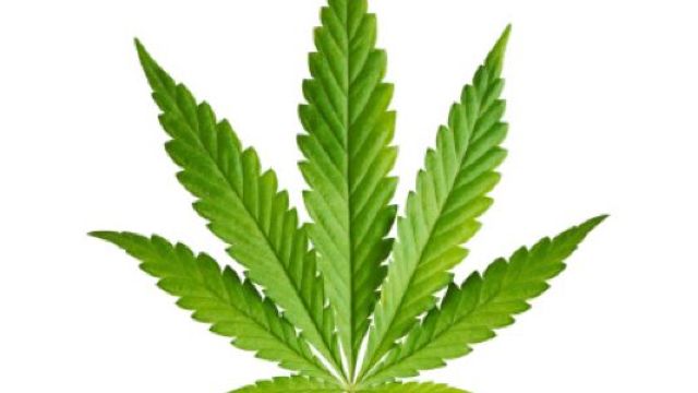 Georgia a legalizat consumul de marijuana